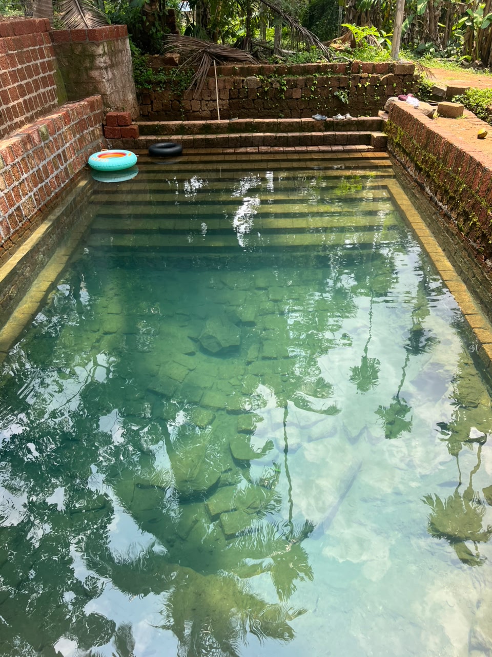 Natural swimming pool
